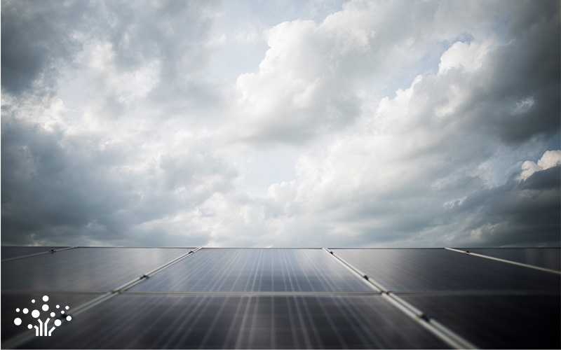 Grid of solar panels under cloudy sky with stylized tree logo in corner.