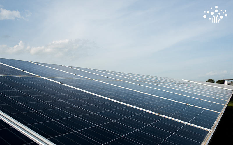 Rows of solar panels outdoors under a clear sky, angled to capture sunlight in a renewable energy setup.